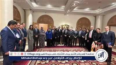 وزير الخارجية يبحث في باريس دعم المرشح المصري خالد العناني لقيادة 