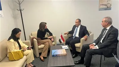 وزير الخارجية يثمن دعم البرازيل للمرشح المصري لليونسكو