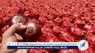 عاجل- فتح السوق الفلبيني أمام صادرات البصل والثوم الطازج المصري لأول مرة