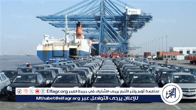 تعديل جديد لقانون ذوي الإعاقة في مصر.. سيارة واحدة كل 15 سنة 