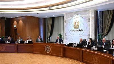 مدبولي يوجه بتوفير التغذية الكهربائية للمشروعات الزراعية الكبرى