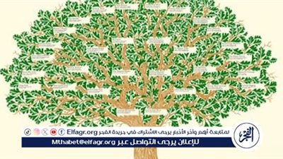 انت ابن مين في مصر.. رحلة البحث عن الجذور تستهوي البعض