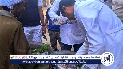 ضبط 197 كيلو لحوم وأسماك غير صالحة للاستهلاك الآدمي في سوهاج