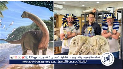 دور اكتشافات مركز جامعة المنصورة للحفريات الفقارية في تدويل الجامعة عالميًّا