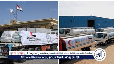 بدعم من وكالة الإمارات للمساعدات الدولية.. جسر الدعم الإماراتي لقطاع غزة عبر مصر يتجاوز 1.7 مليار دولار