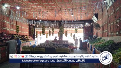 أسعار الخضار بمطروح اليوم 