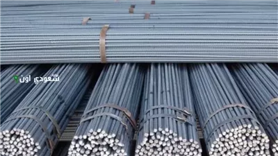 سعر طن الحديد والأسمنت اليوم الأحد 12-10-2025