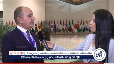 السفير الأردني لدى مصر: هذا الضامن الحقيقي لوقف الحرب في قطاع غزة