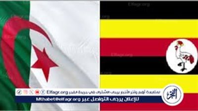 يلا كورة الجزائر وأوغندا اليوم في تصفيات كأس العالم 2026 مباشر