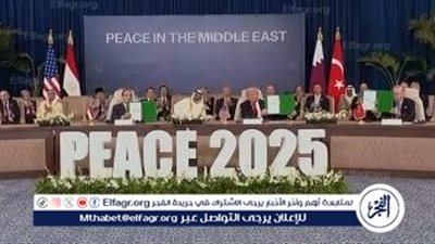 بسمة وهبة: تأمين قمة شرم الشيخ رسالة قوة للعالم (فيديو)