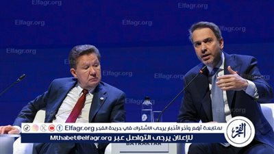 وزير الطاقة التركي: لقاء مثمر مع رئيس 