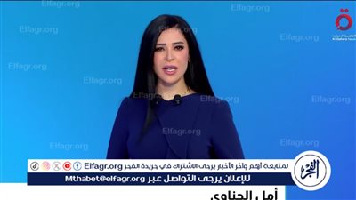 أمل الحناوي: اتفاق شرم الشيخ نجح في غلق صفحة أليمة في تاريخ البشرية