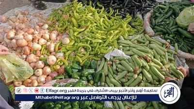 ارتفاعات في أسعار الخضروات بأسواق المنيا اليوم الجمعه 17 اكتوبر2025 وسط ضغط على بعض الأصناف
