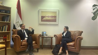 وزير الاستثمار يبحث مع مجموعة IIB Group Holdings فرص التعاون الاستثماري في القطاعات الاستراتيجية بمصر