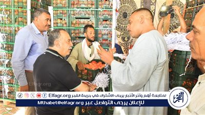 محافظ أسيوط يتفقد مواقع تجهيز وتصدير الرمان بقرية بويط بساحل سليم