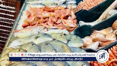 أسعار الأسماك فى أسيوط الأحد 19\10\2025 