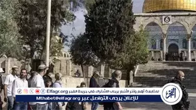 عاجل- مستوطنون إسرائيليون يقتحمون المسجد الأقصى تحت حماية شرطة الاحتلال