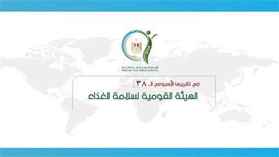 تصدير 4100 رسالة غذائية بنحو 185 ألف طن لعدد 1320 شركة