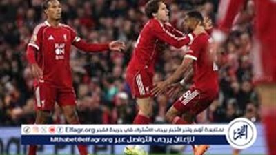 يلا جوووووول.. بث مباشر ليفربول يكتسح آينتراخت فرانكفورت بثلاثية في دوري أبطال أوروبا