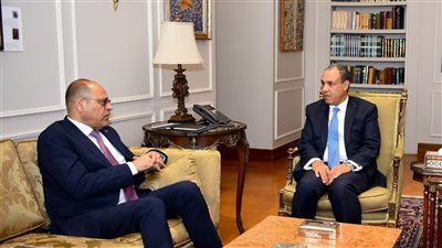وزيرا الخارجية والعمل يناقشان الهجرة والعمالة المصرية بالخارج
