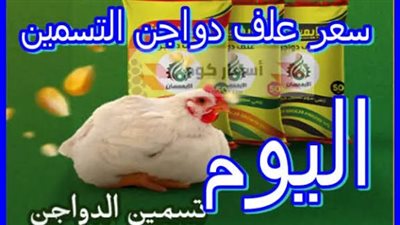 استقرار أسعار الأعلاف والتسمين بأسوان اليوم الثلاثاء 28 أكتوبر 2025