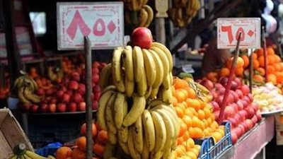 تنوع في أسعار الفاكهة بأسواق اليوم الجمعه 17 أكتوبر 2025 بأسوان.. واستمرار ارتفاع الأصناف المستوردة والموسمية