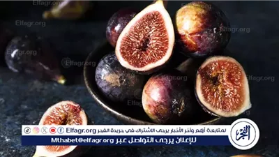 فاكهة الفراعنة التي أدهشت ابن سينا.. أسرار التين العلاجية