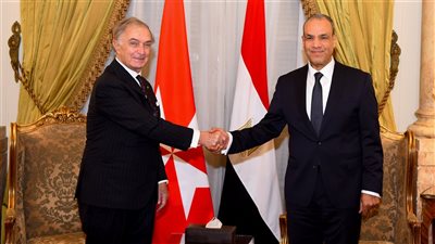 وزير الخارجية يلتقي وزير خارجية فرسان مالطا