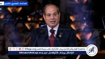 عاجل- السيسي والرئيس الألماني يبحثان تعزيز الشراكة الاستراتيجية ومواصلة التنسيق حول قضايا المنطقة ودعم إعادة إعمار غزة