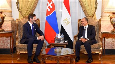 وزير الخارجية يلتقي نظيره السلوفاكي