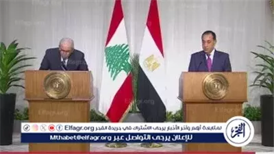 رئيس وزراء لبنان: نقدر الدور المصري الرائد في الدفاع عن القضايا العربية