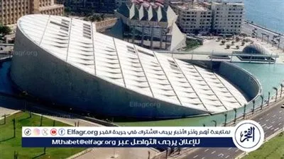 مكتبة الإسكندرية: تقديم كورسات في اللغة الهيروغليفية للمصريين مجانا