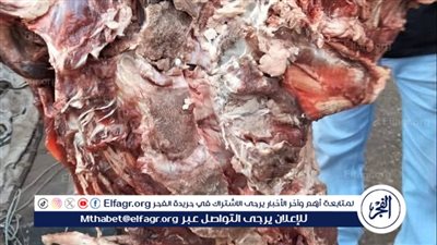 تحرير 2532 محضرًا تموينيًا فى أسيوط |تفاصيل