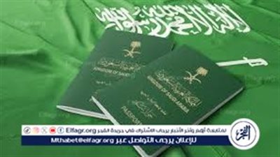 رسوم تأشيرة الزيارة الإلكترونية في السعودية 2025 وطريقة السداد أونلاين