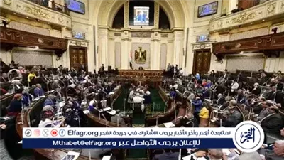 ماذا يحدث إذا شُطب اسم المترشح لمجلس النواب؟.. القانون يحدد الإجراءات والنتائج