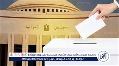 انطلاق تصويت المصريين بالخارج في انتخابات مجلس النواب 2025 الجمعة