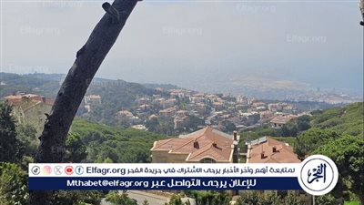 الأمن اللبناني يكشف هويّة إسرائيليين دخلا البلاد بجوازات غير إسرائيلية