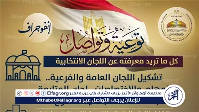 كل ما تريد معرفته عن اللجان الانتخابية بمجلس النواب 2025.. إنفو جراف شامل