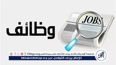 عاجل- الحكومة: اتفاقيات جديدة توفر 70 ألف فرصة عمل