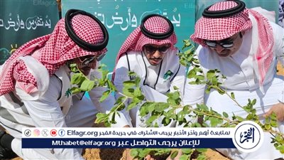 المركز الوطني لتنمية الغطاء النباتي يطلق حملة لزراعة 5 آلاف شتلة بروضة هباس
