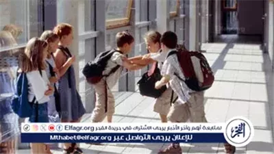 الإنترنت وغياب المتابعة.. أسباب تغير سلوك الأطفال وتعرضه للعنف (فيديو)