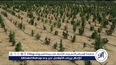 مدير صندوق مكافحة الإدمان يشهد حفل تخريج 100 طالب وطالبة من دبلوم خفض الطلب على المخدرات بجامعة القاهرة