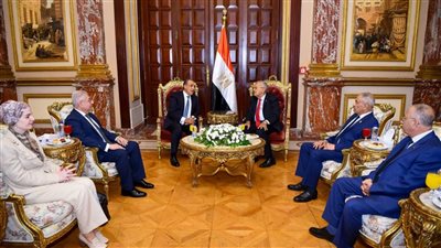 وزير الخارجية يلتقي رئيس مجلس الشيوخ