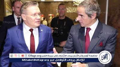 ليخاتشوف وغروسي يبحثان الوضع في محطة زابورجيه النووية