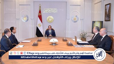 عاجل ـ السيسي يوجه بتعزيز التواجد المصري دوليًا في الطاقة وتوفير الحوافز للمستثمرين