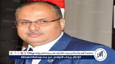مسؤول بالاتحاد العالمي للمواطن المصري بالخارج: بيان السيسي يعيد الانضباط ويعزّز شفافية الانتخابات