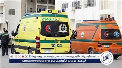 صعق كهربائي يودي بحياة عامل وطفلة في حادثين مأساويين فى المنيا 