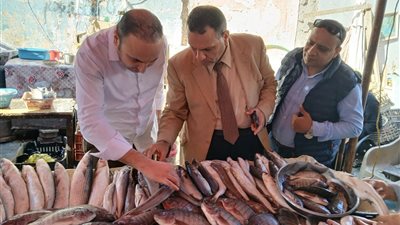 إعدام 20 كيلو لحوم وأسماك فاسدة في حملة تموينية موسعة لضبط الأسواق بالإسكندرية