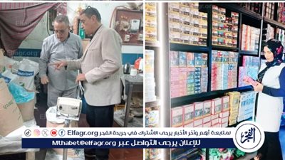 محافظ الدقهلية: ضبط مصنع مخالف للجبن والتحفظ على 3.2 طن موزاريلا وتحرير 320 محضر