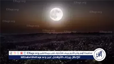 ظواهر فلكية مبهرة تزين سماء مصر خلال نوفمبر.. إليك مواعيدها